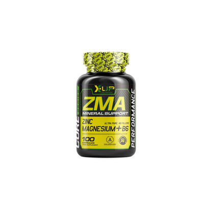 ZMA – X-UP